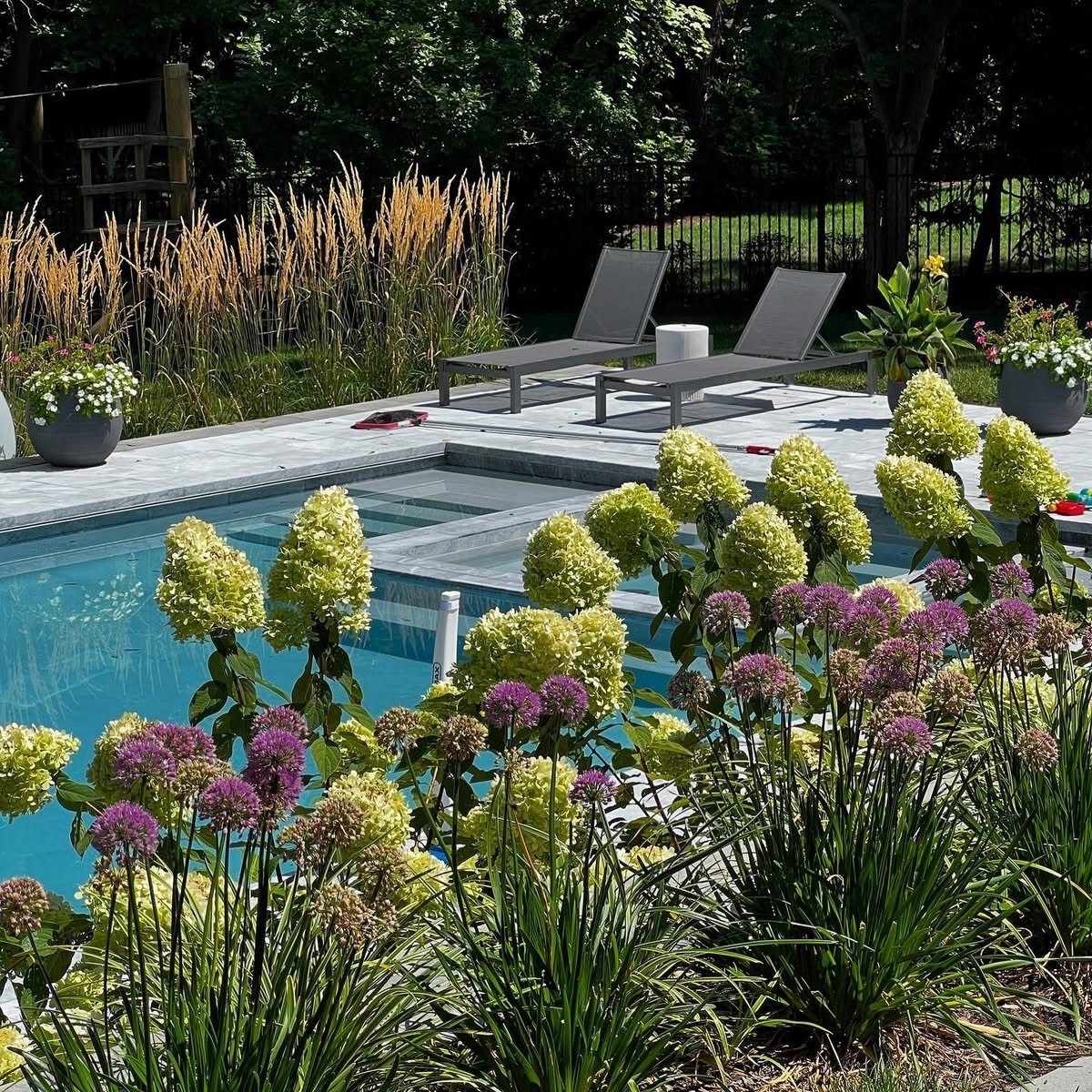Lush garden by a clear swimming pool.