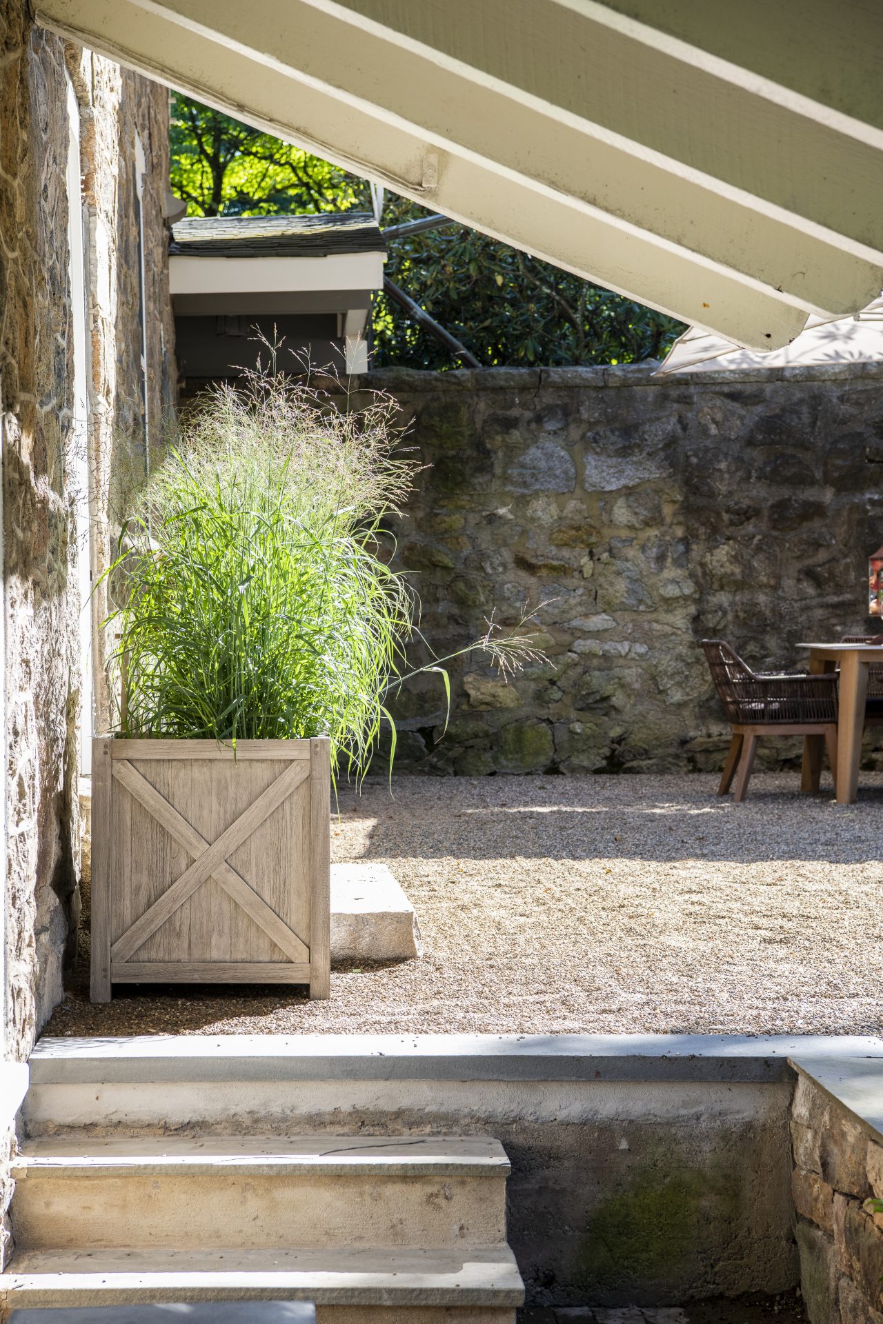 Outdoor patio with plant and table