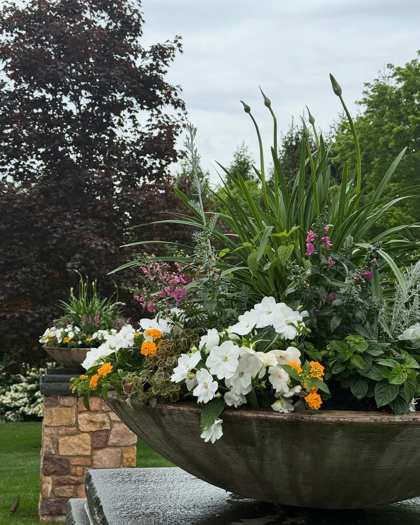 Colorful flowers in a large stone planter