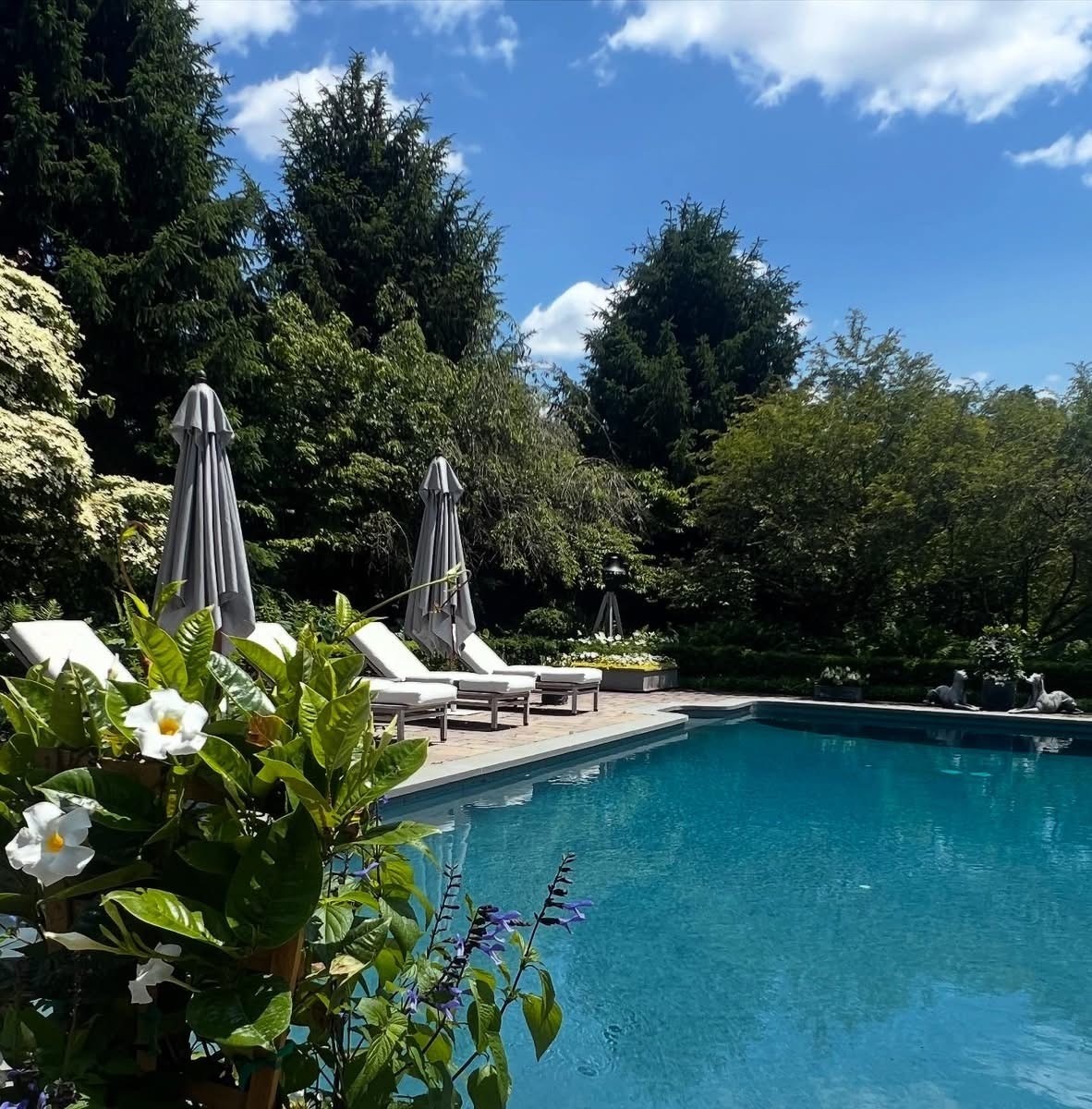 Sunny poolside with chairs and umbrellas