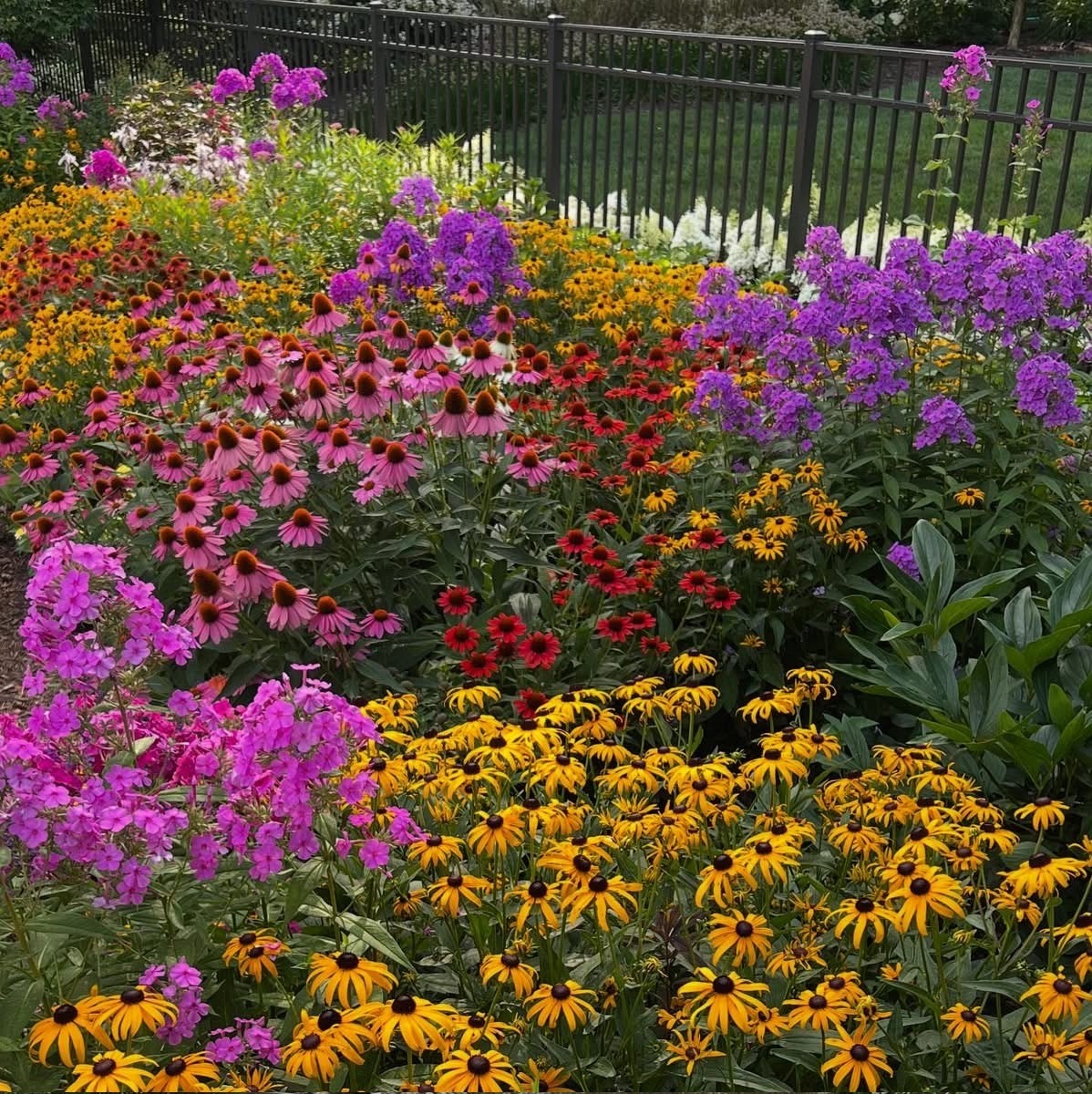 Vibrant garden with colorful flowers