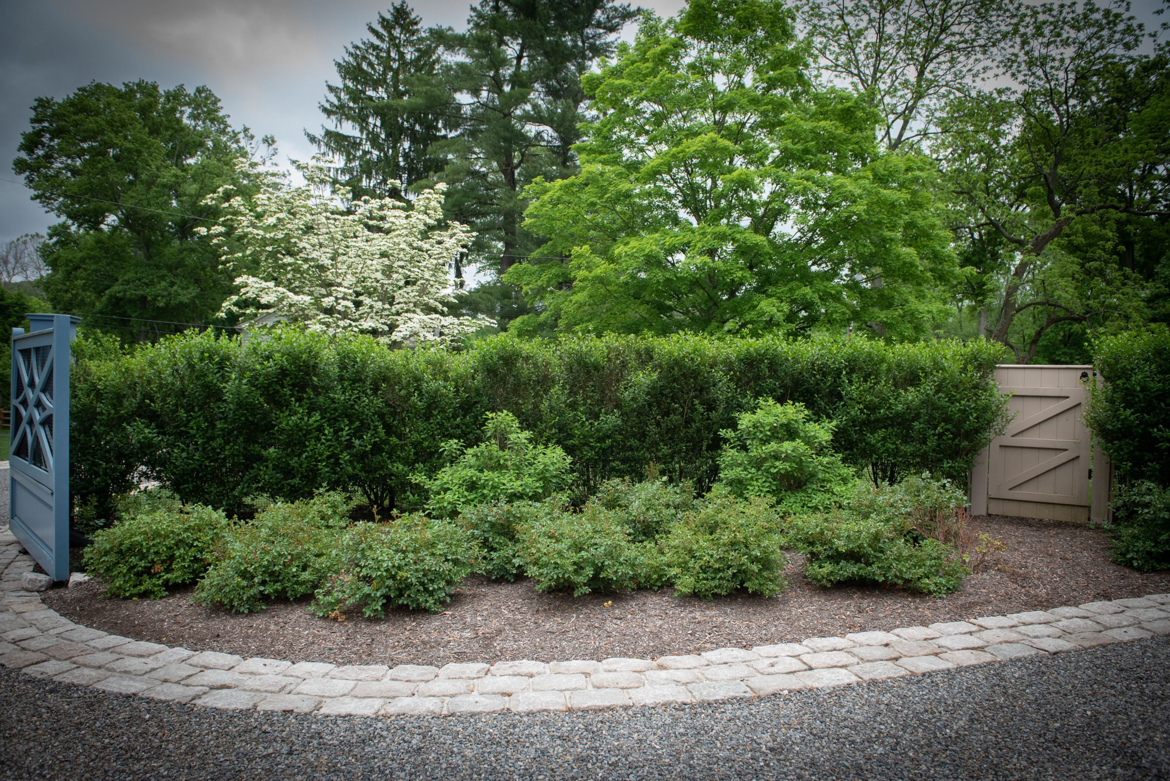 Beautiful garden with green shrubs and trees