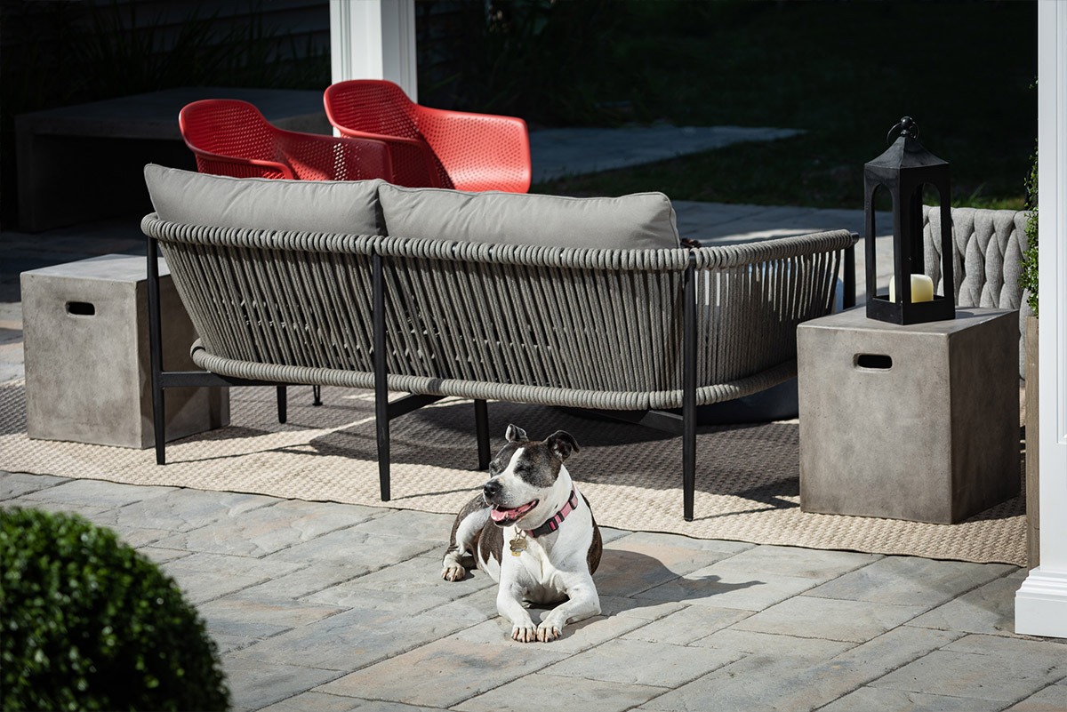 Outdoor patio with dog lounging in sunlight.