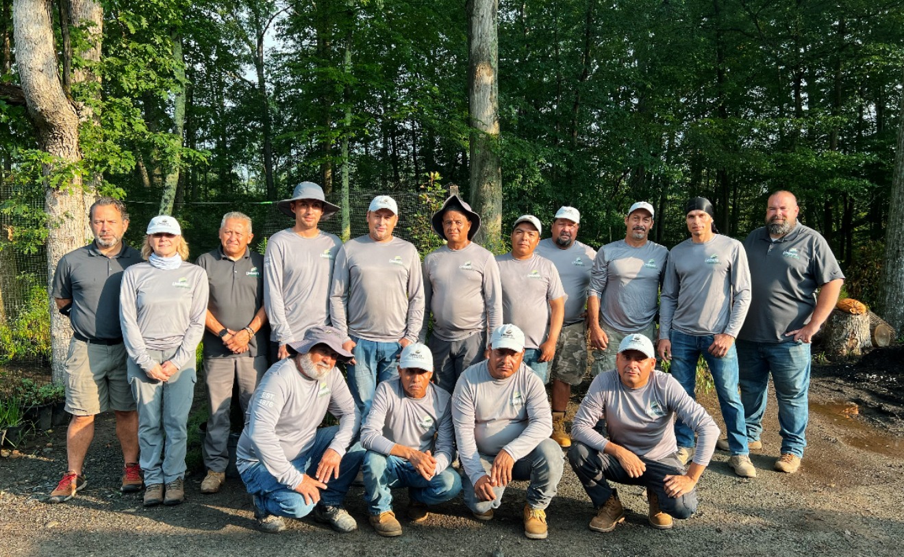 Group of workers in a forest setting