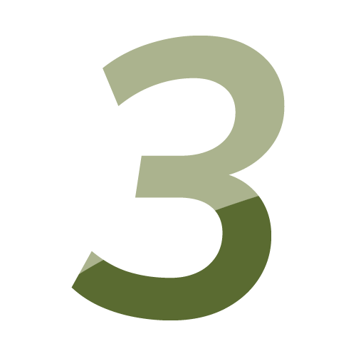 Number three in olive tones