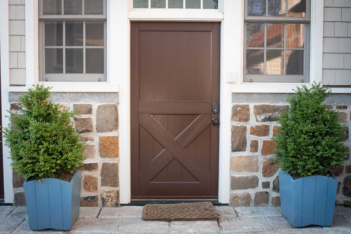 Brown door with stone wall and plants
