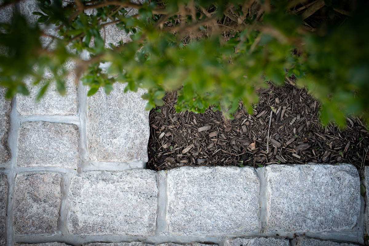 Stone path beside a mulched garden area.
