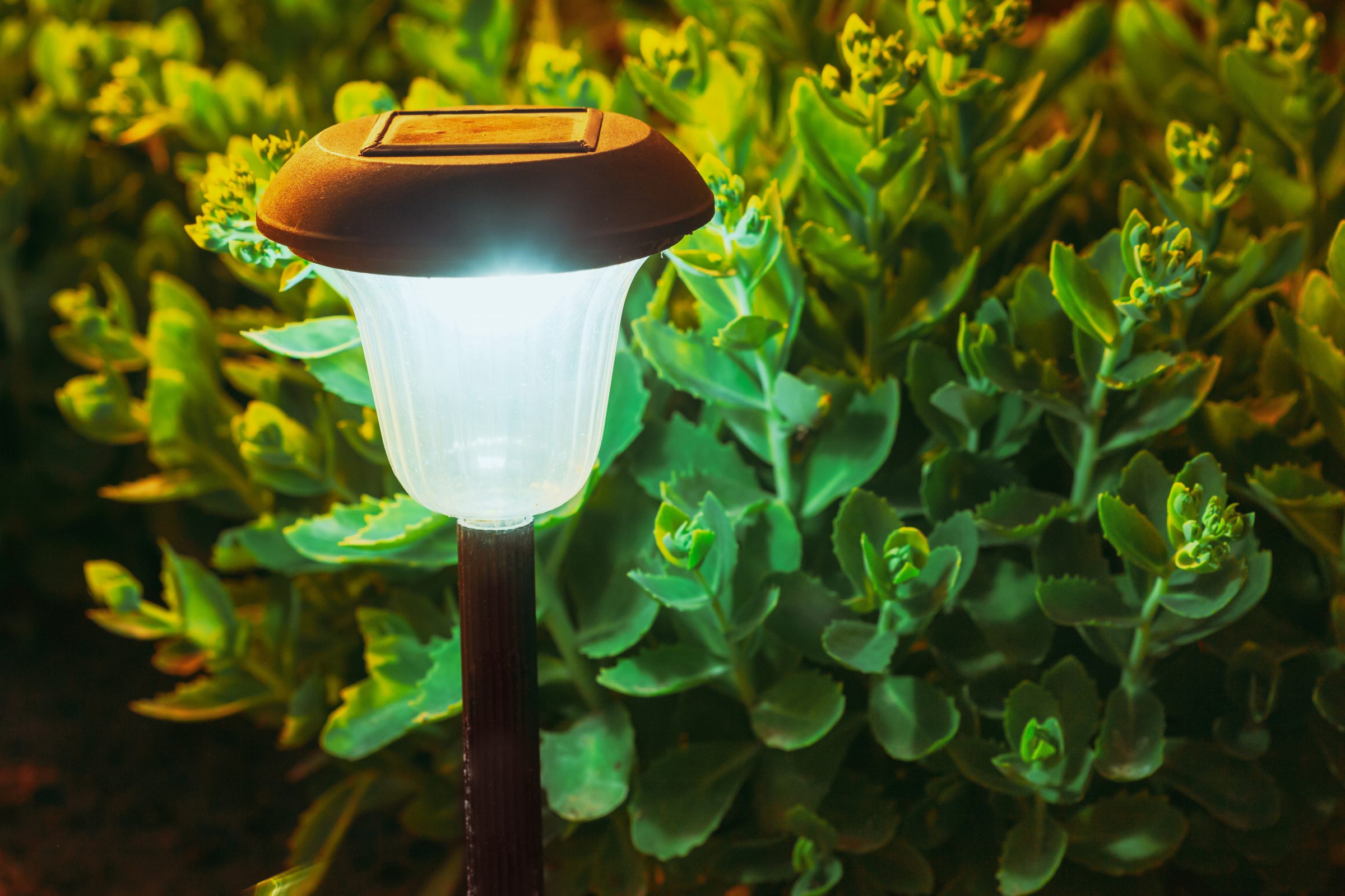 Solar garden light illuminating plants