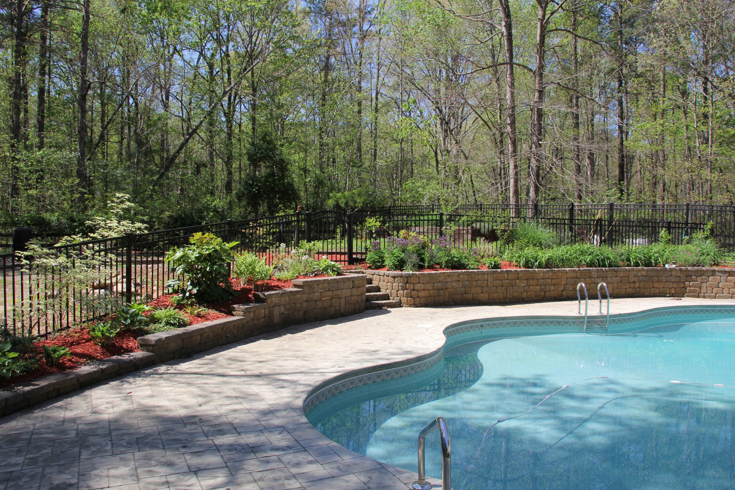 Backyard pool with forest backdrop